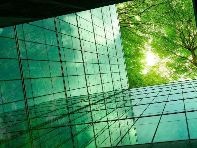 Building with glass and tree at the top